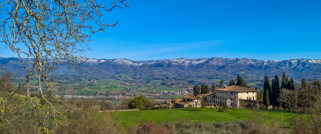 WP_20160304_10_34_29_Pro_2_3