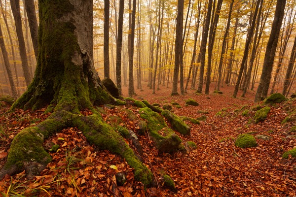 tourism in mugello and environment preservation