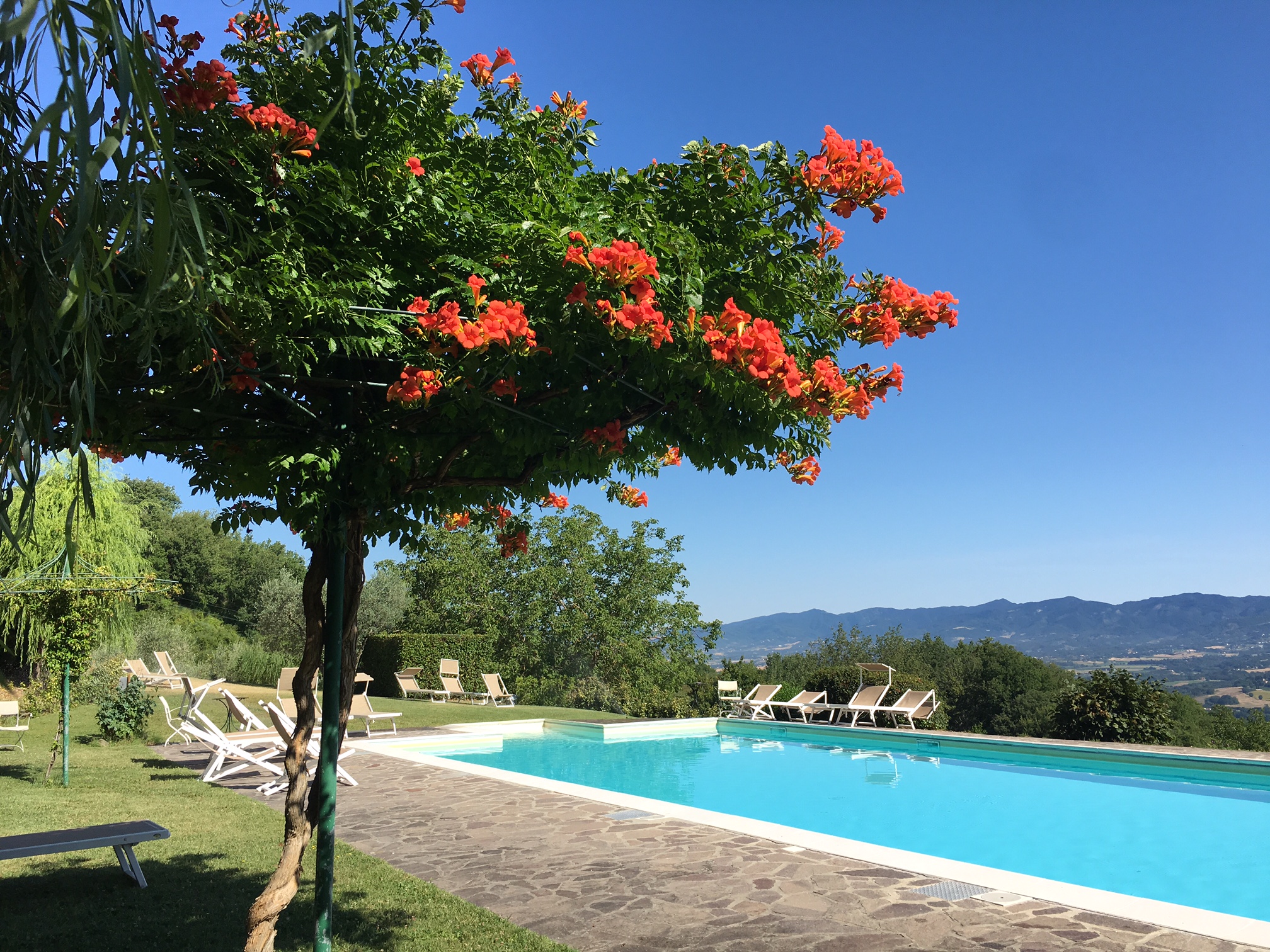 Resort per Famiglie in Toscana a Villa Campestri Olive Oil Resort