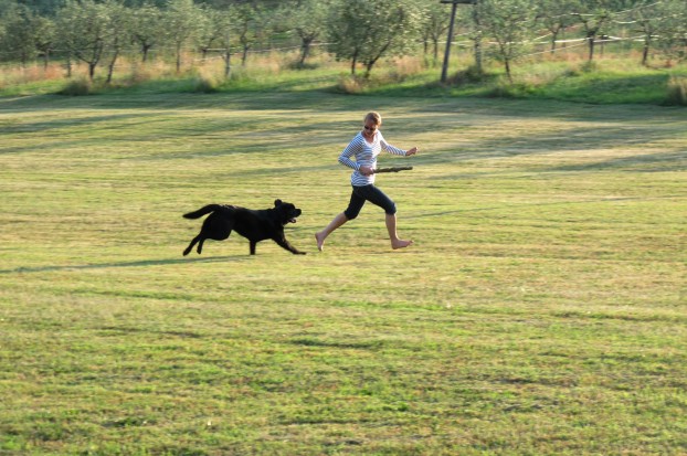 Il resort per cani e padroni di Villa Campestri Olive Oil Resort