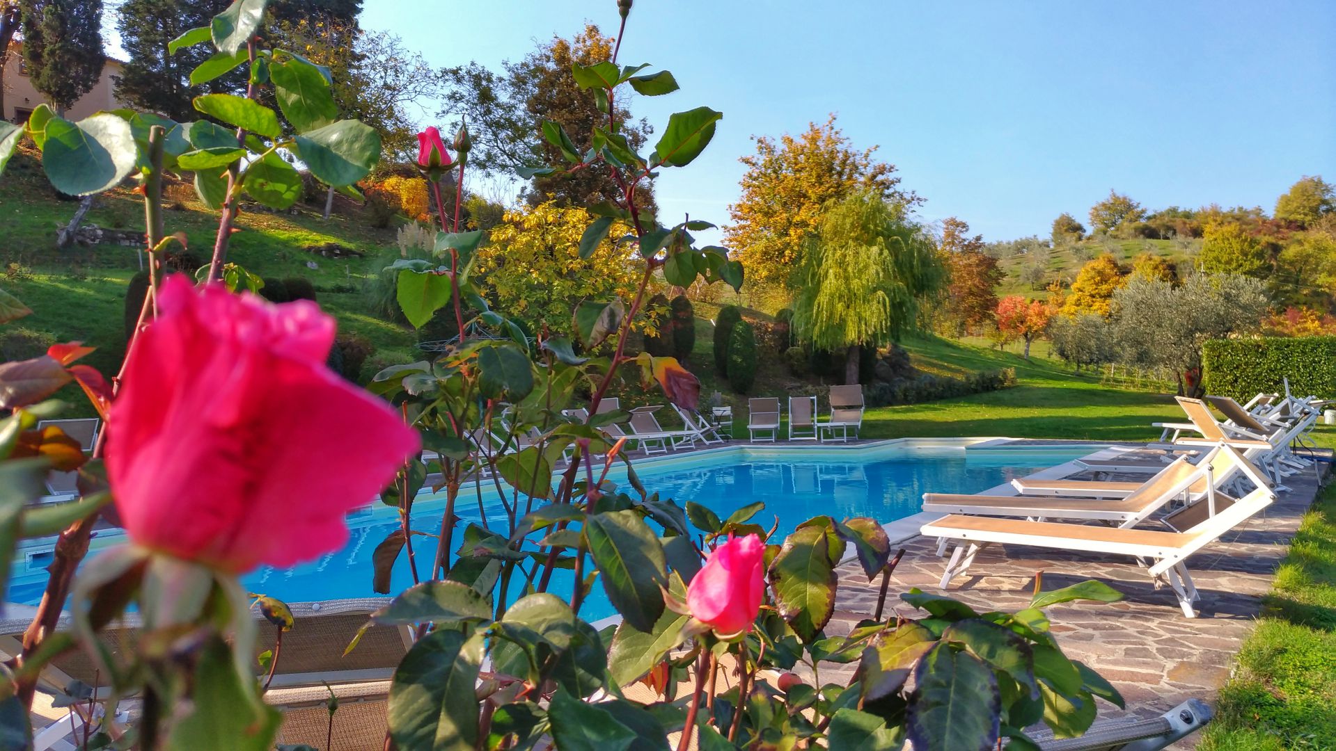 Come rilassarsi in vacanza con Villa Campestri Olive Oil Resort