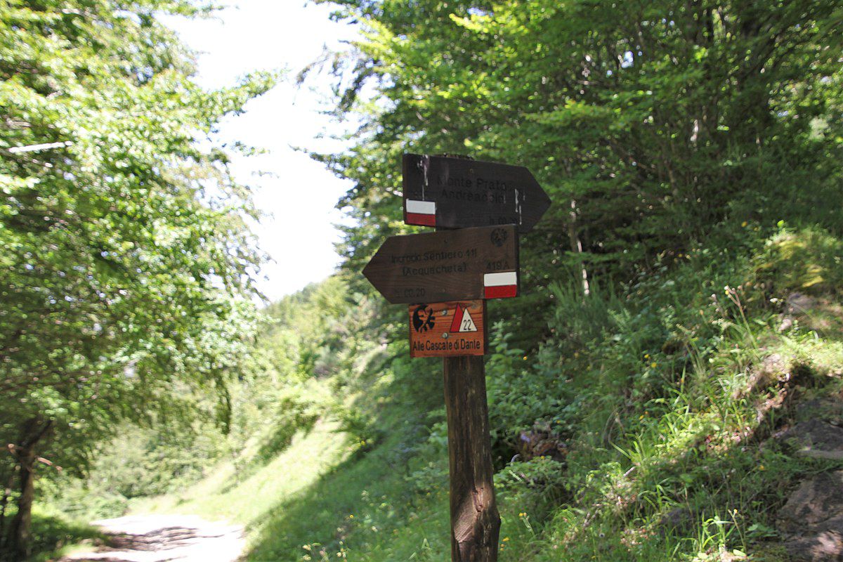 National Park of Casentino Forests