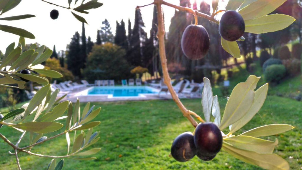 Vacation in Tuscany at Villa Campestri Olive Oil Resort