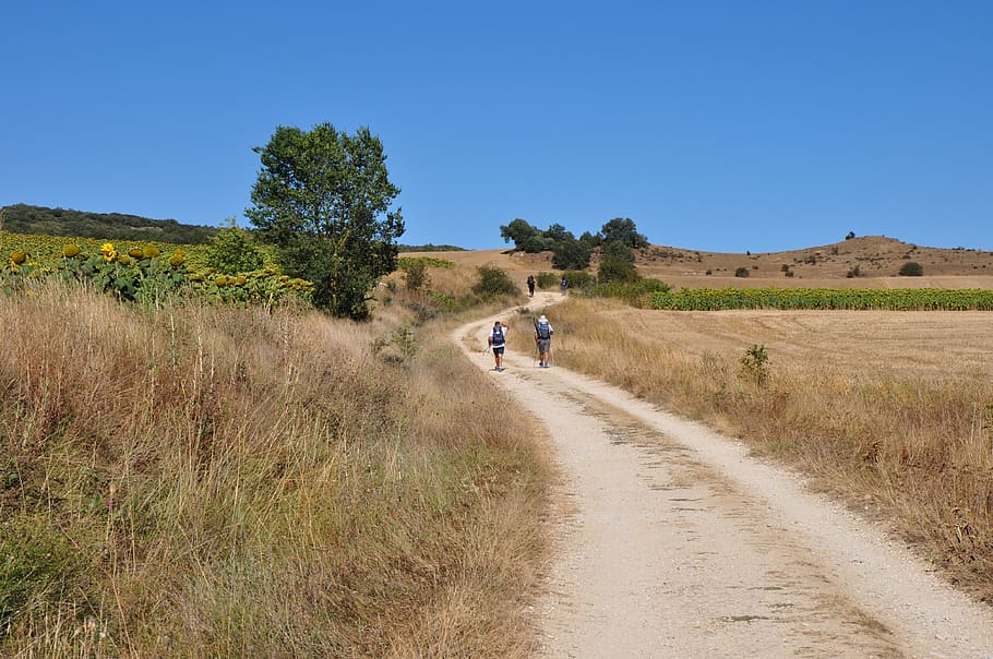 Escursioni nel Mugello con Villa Campestri Olive Oil Resort