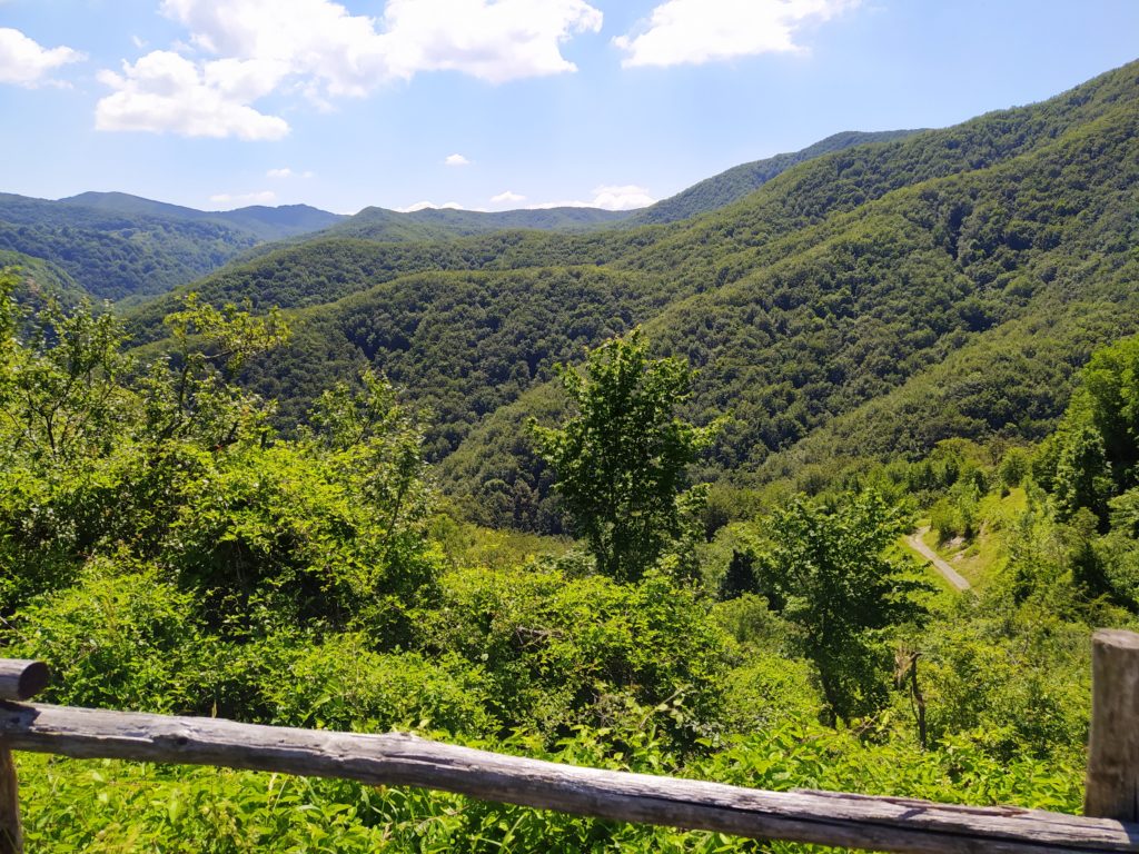 5 luoghi da visitare nel Mugello con Villa Campaestri Olive Oil Resort