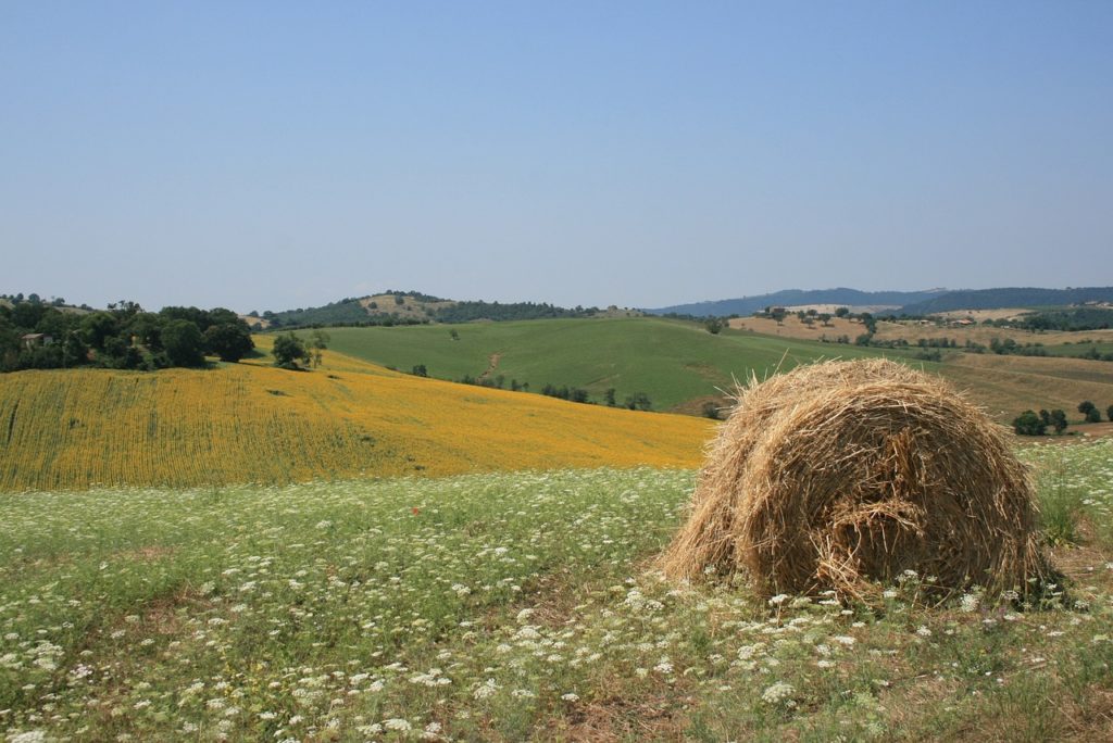 Visit Maremma by bicycle