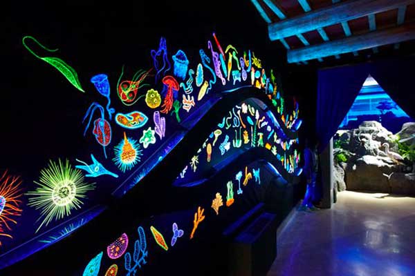 Museums for Children in Tuscany